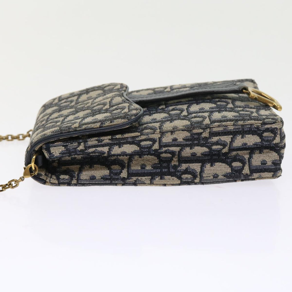 Dior Saddle  Canvas Clutch Bag