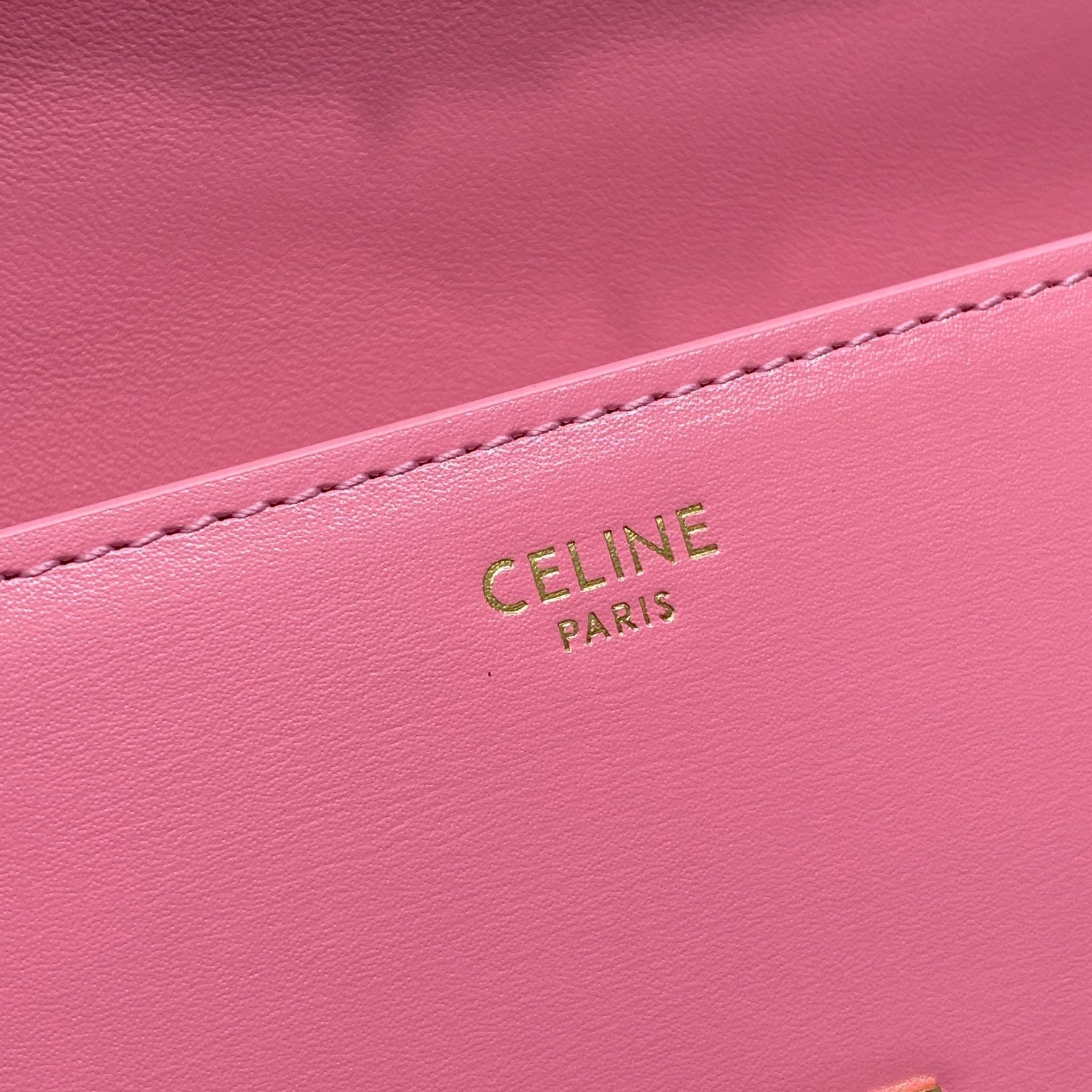 Chain Shoulder Bag Triomphe PiNike For Women 8in/20.5cm