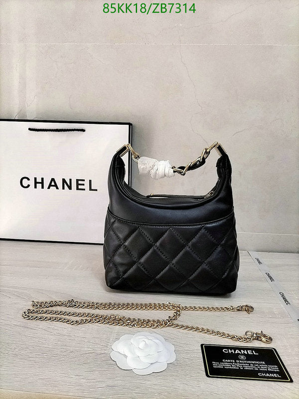 Chanel Bags Crossbody - 179