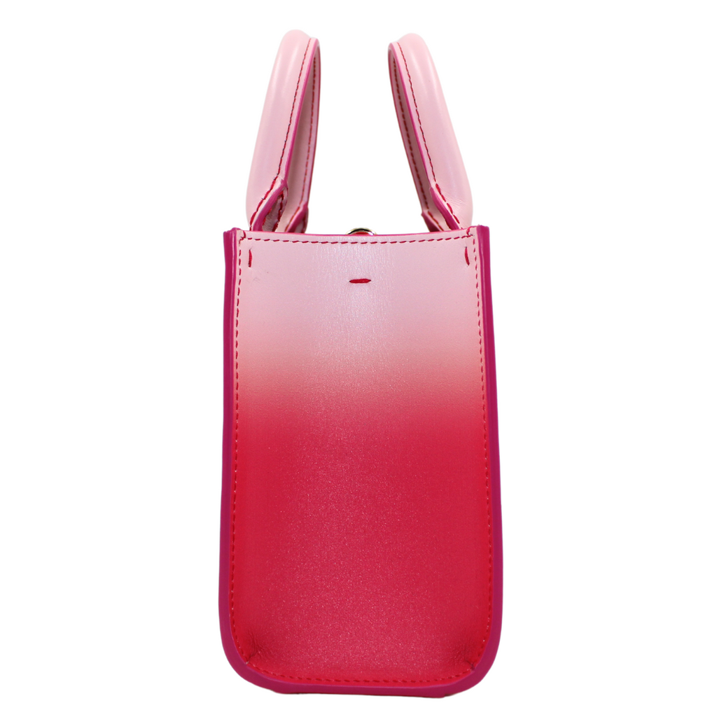 DolCeline & Gabbana Ombre-Print Calfskin DG Daily Mini Shopper
