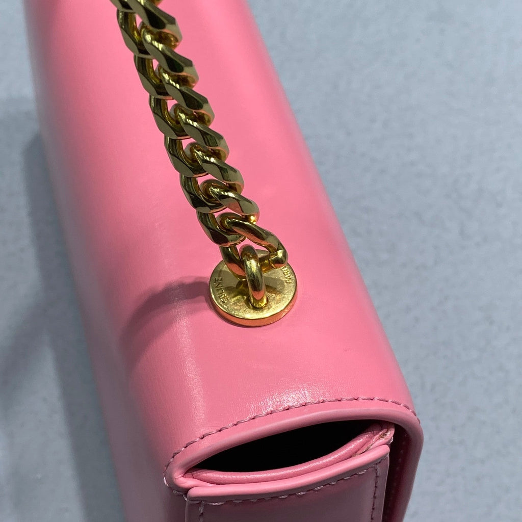 Chain Shoulder Bag Triomphe PiNike For Women 8in/20.5cm