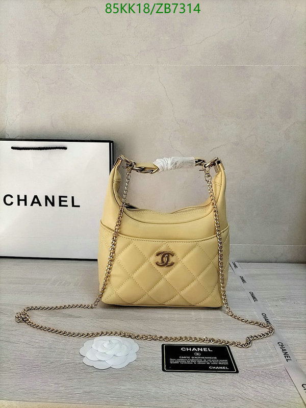 Chanel Bags Crossbody - 179