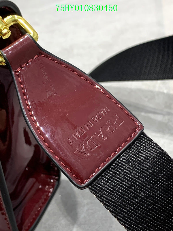 Prada Bags - The Luxera Bags  017