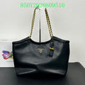 Prada Bags - The Luxera Bags  058