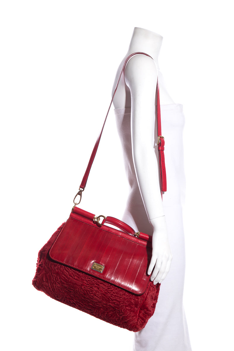 DolCeline & Gabbana Red Fur & Leather Shoulder Bag