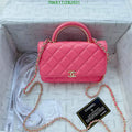 Chanel Bags Crossbody - 209