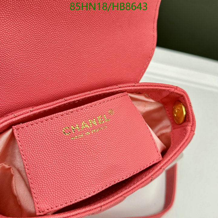 Chanel Bags Crossbody - 030