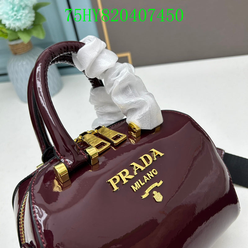 Prada Bags - The Luxera Bags  421