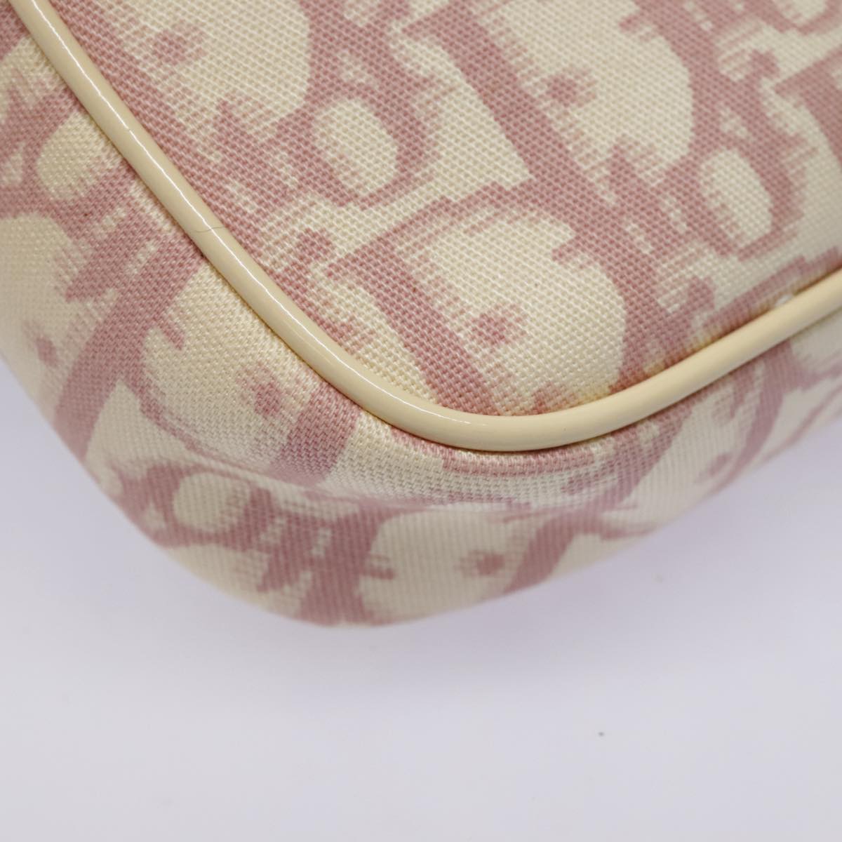Dior Trotter  Canvas Clutch Bag
