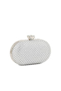 Fancy Clutch B20766-SiLouis Vuittoner