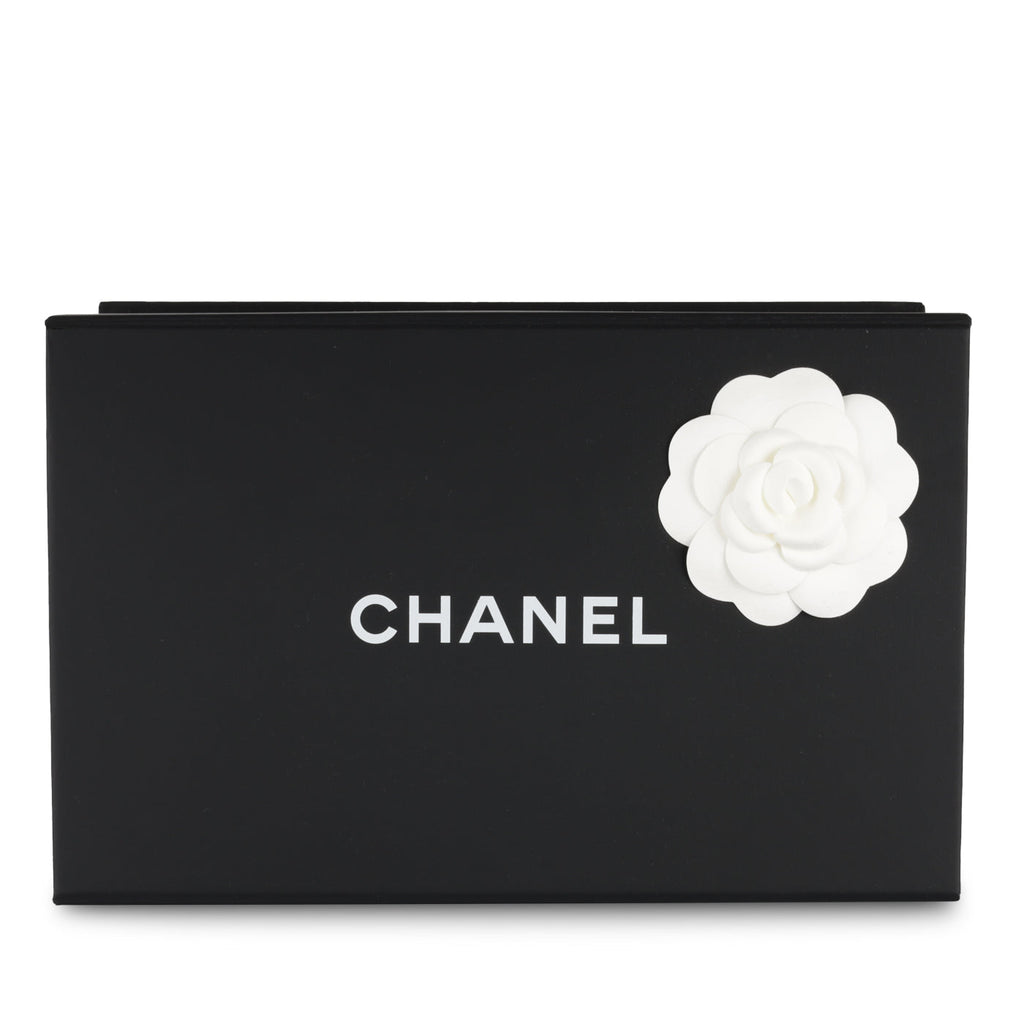 Classic Flap Bag - Mini Rectangular Top Handle