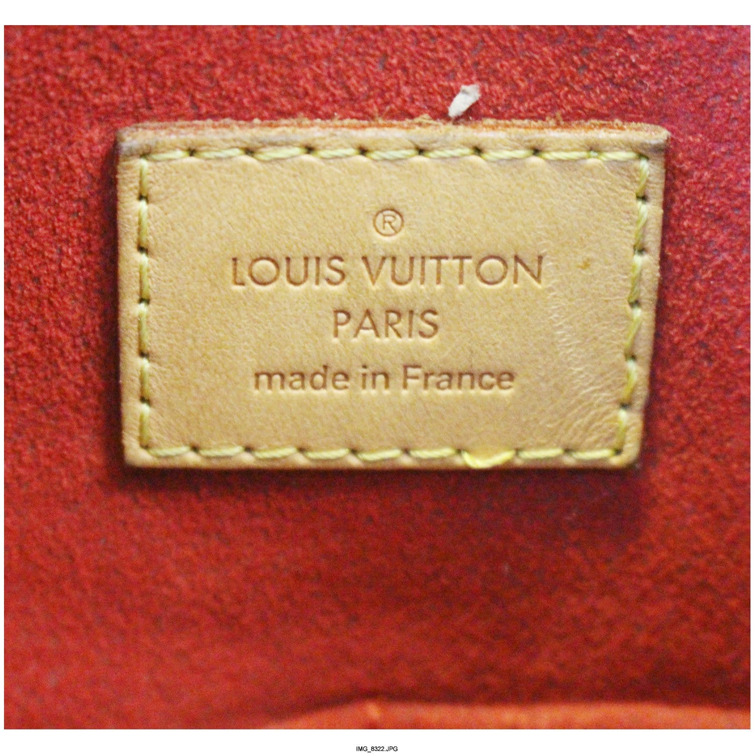 LOUIS VUITTON Gaia Monogram Canvas Shoulder Handbag