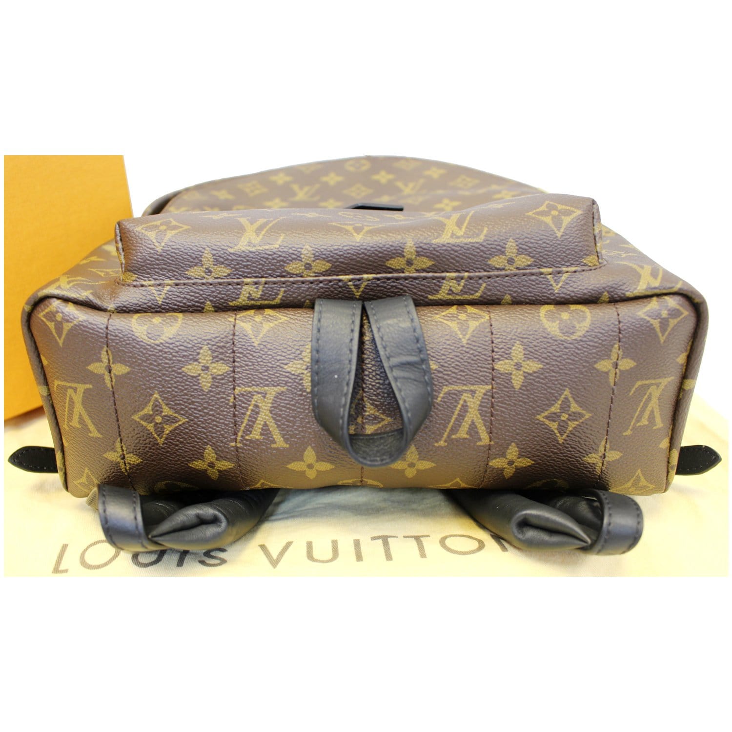 LOUIS VUITTON Palm Springs MM Monogram Canvas Backpack Bag