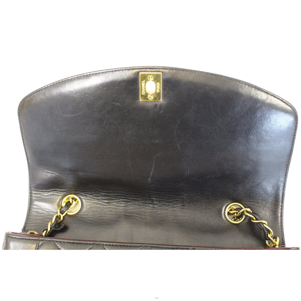 Chanel Diana Classic Flap Quilted Leather Crossbody Bag