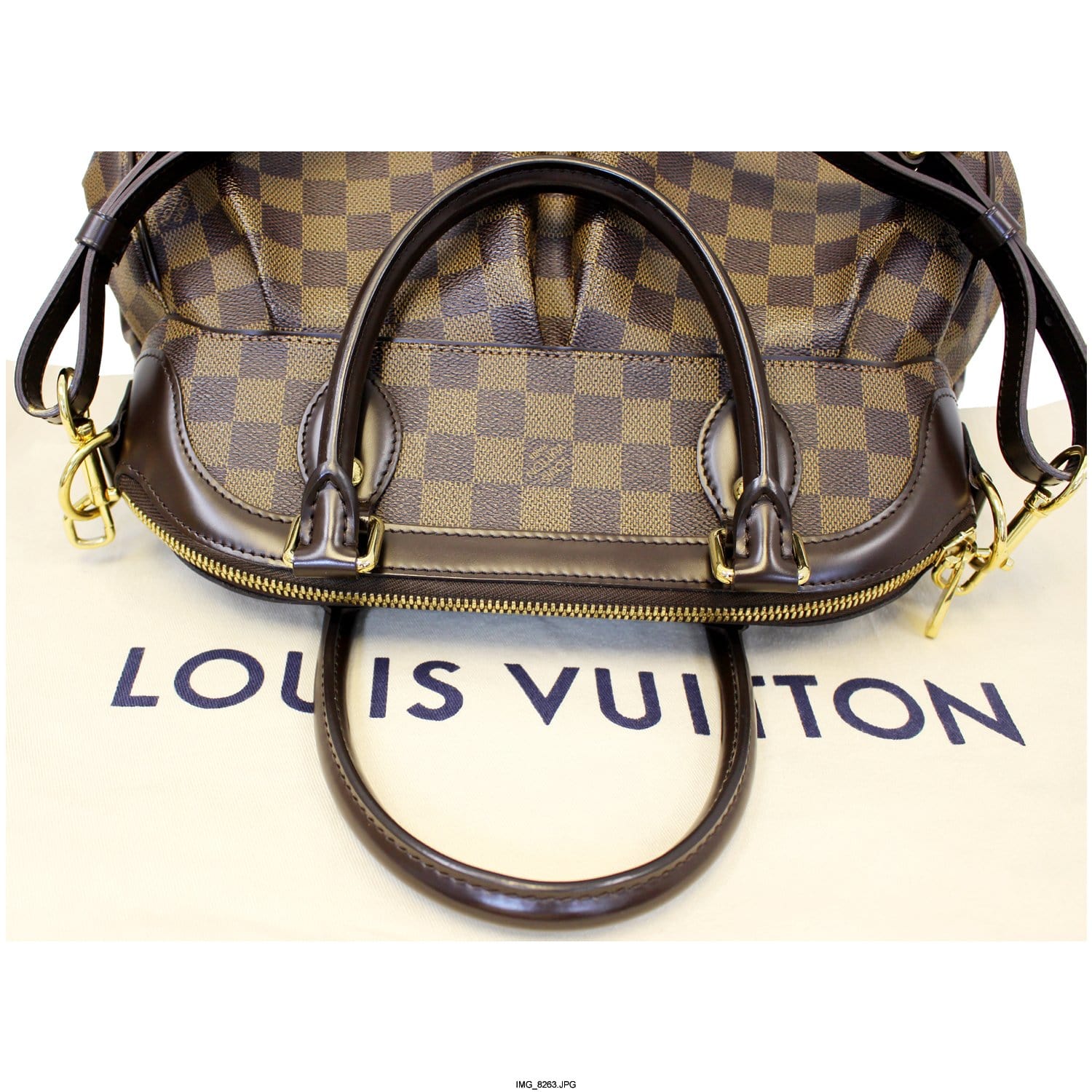 LOUIS VUITTON Trevi PM Damier Ebene Brown Shoulder Bag