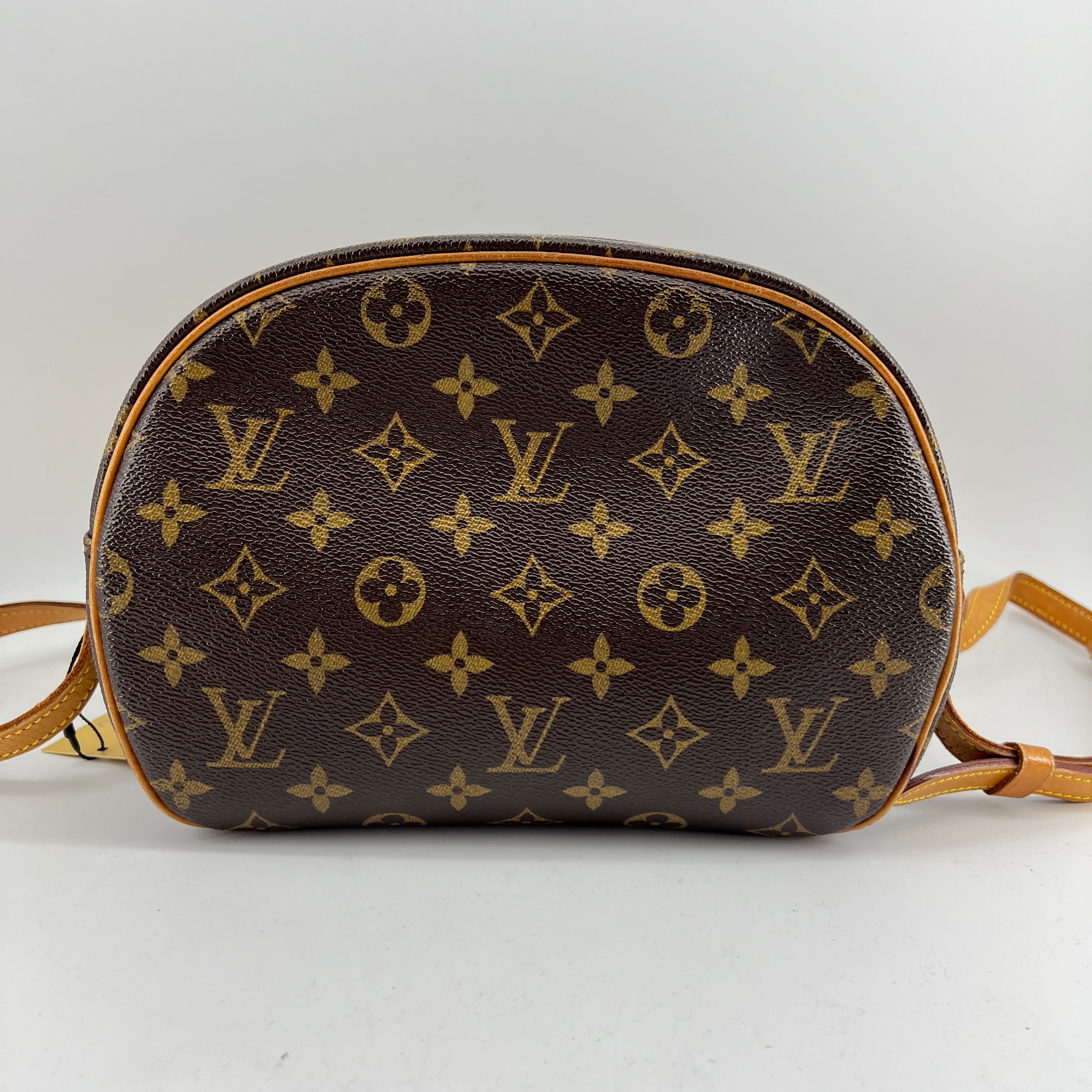 Louis Vuitton Blois Crossbody Bag TWS pop