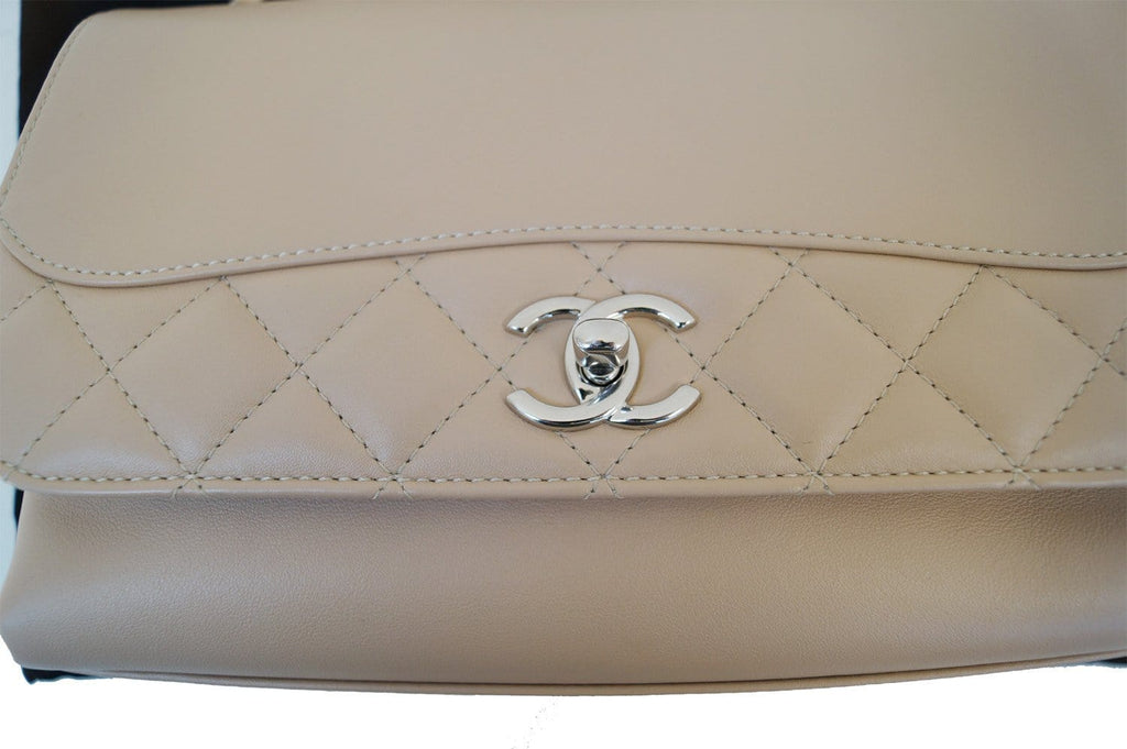 Chanel Rare CHANEL Classic Quilted Leather Double Chain CC Shoulder Bag