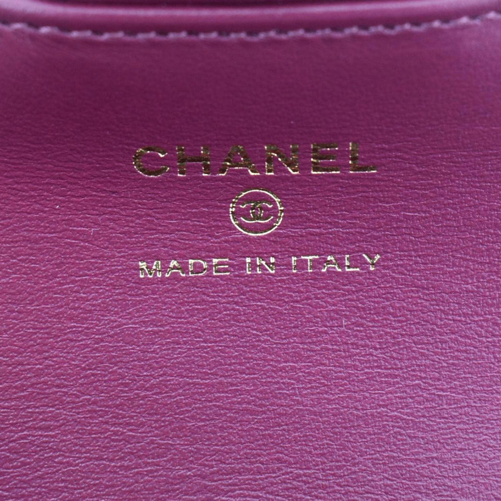 Chanel Camellia Velvet Chain Vanity Bag Pink