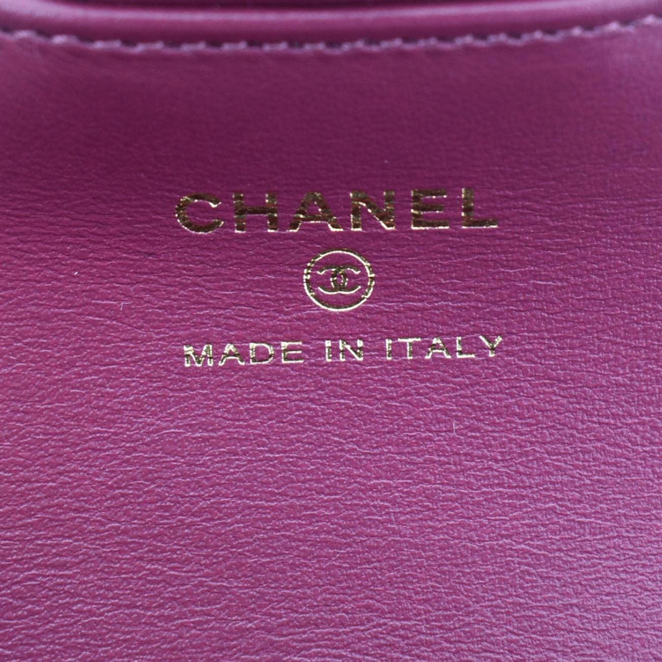 Chanel Camellia Velvet Chain Vanity Bag Pink