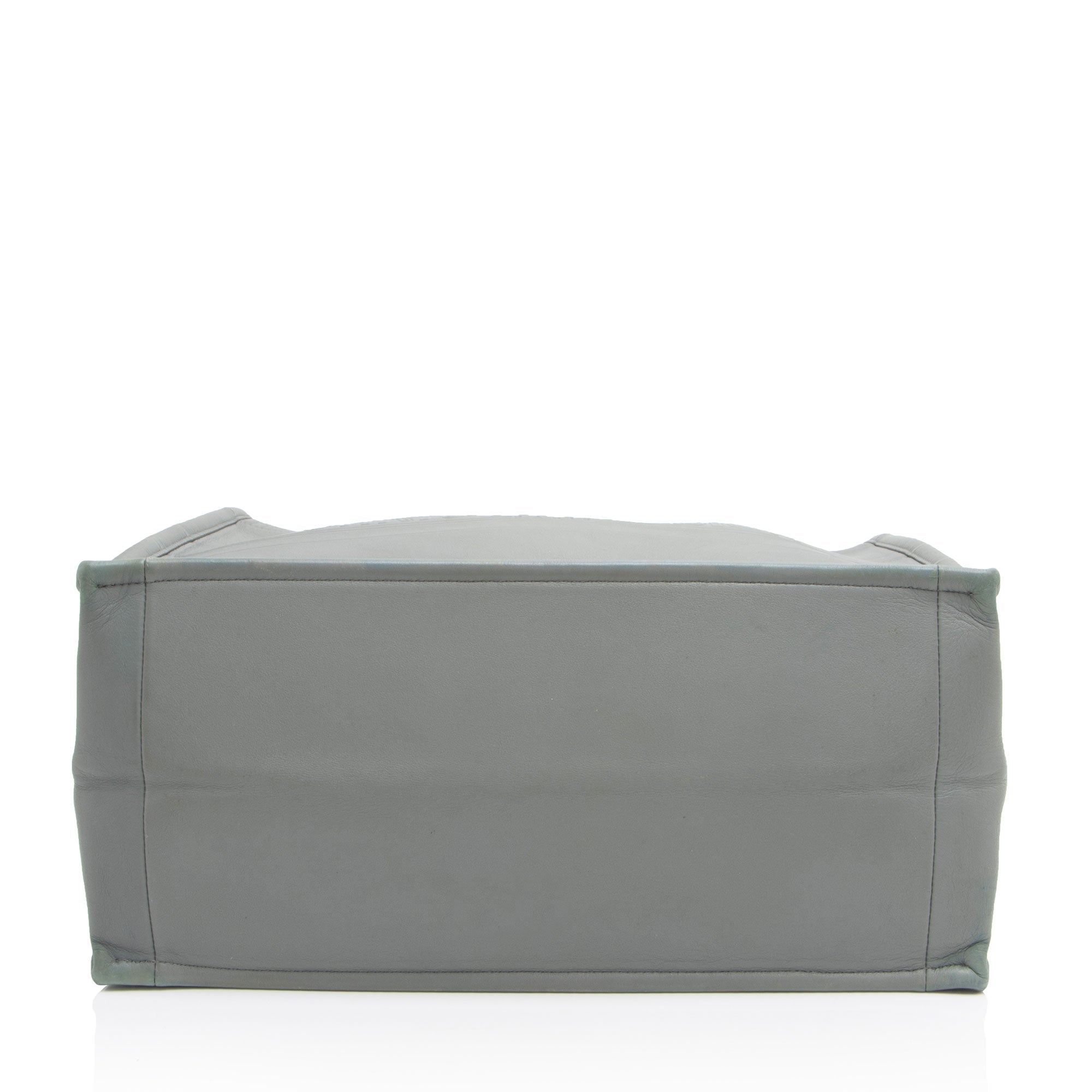 Dior Calfskin Medium Book Tote