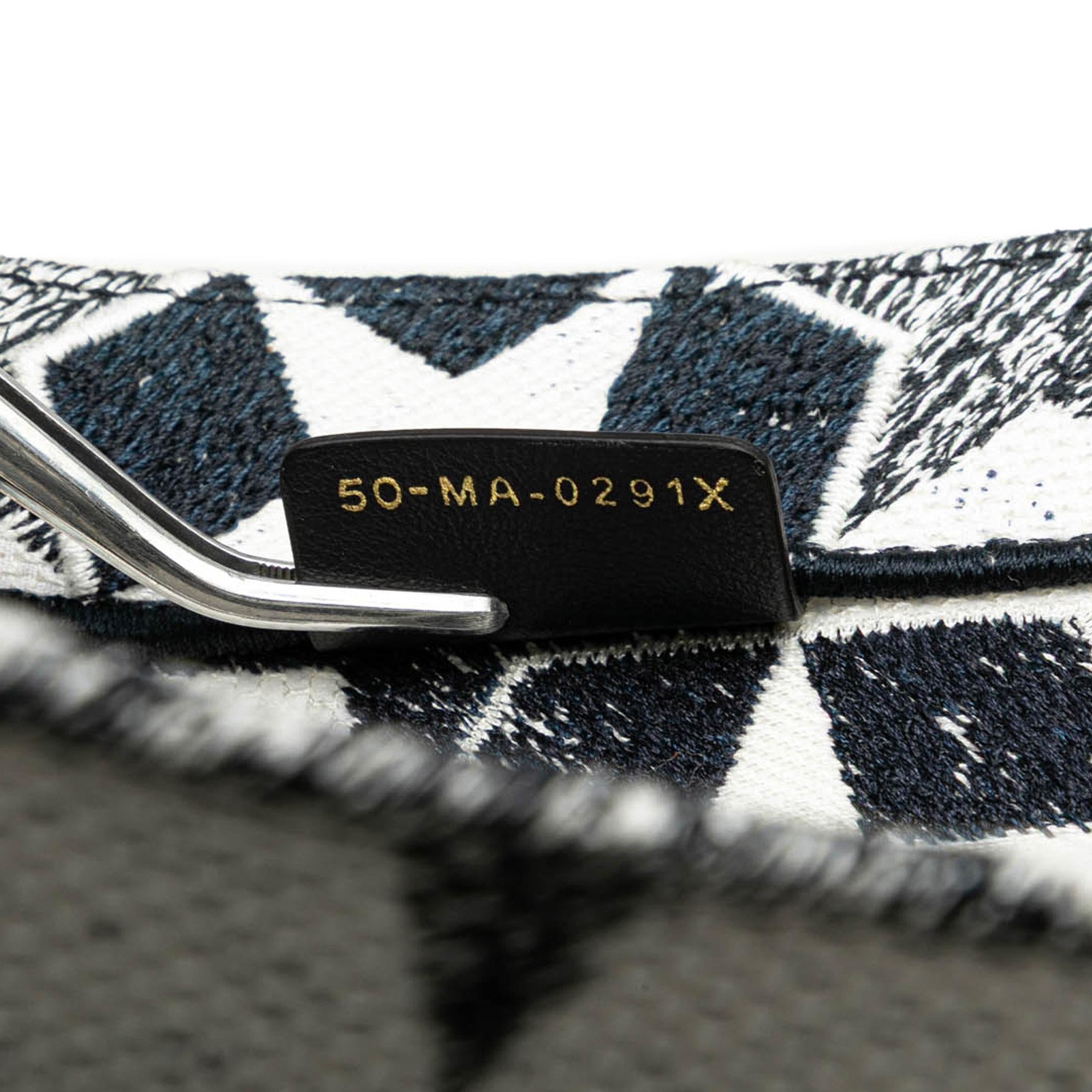 Dior Large Canvas Embroidered Lucky Star Book Tote