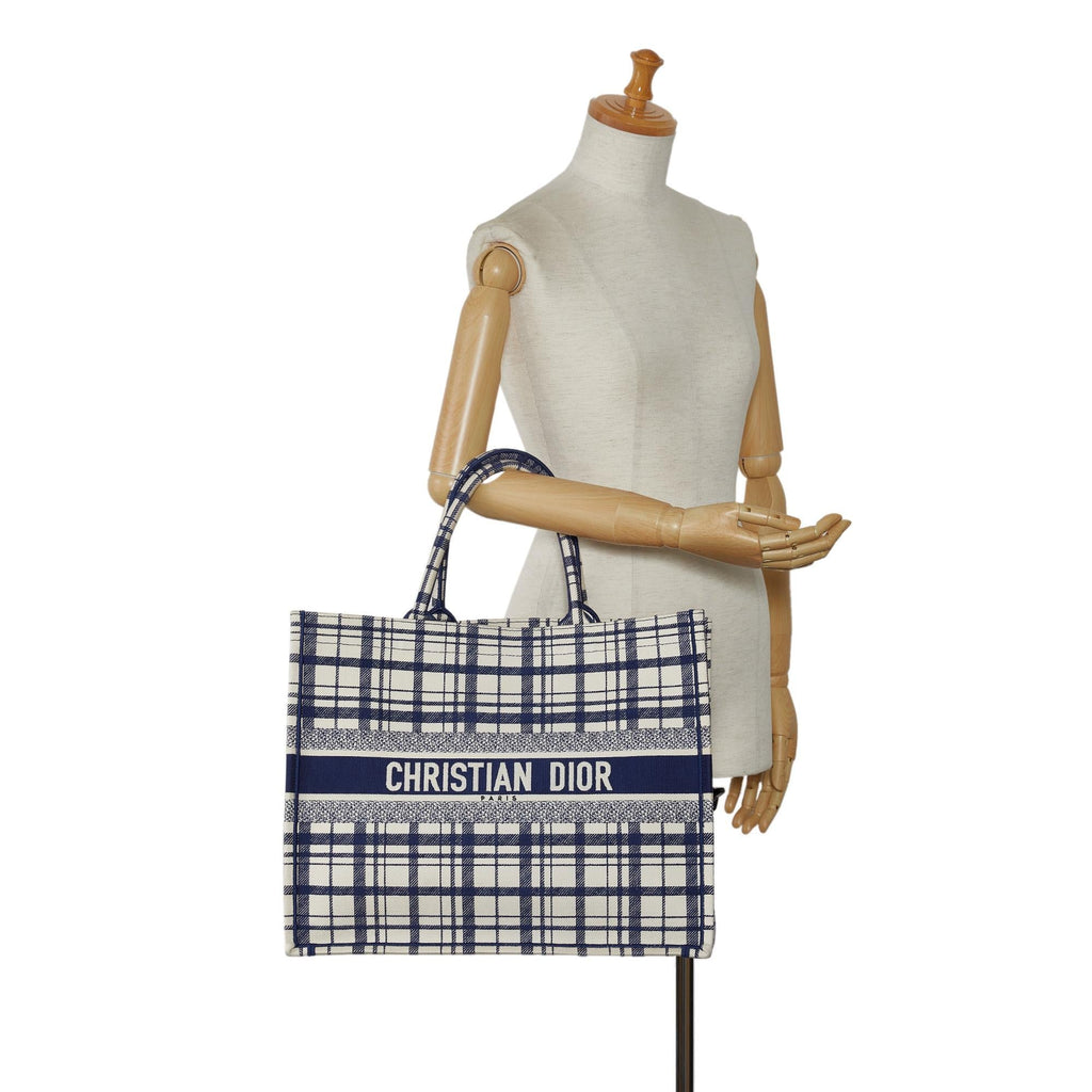 Dior Large Check n Dior Book Tote