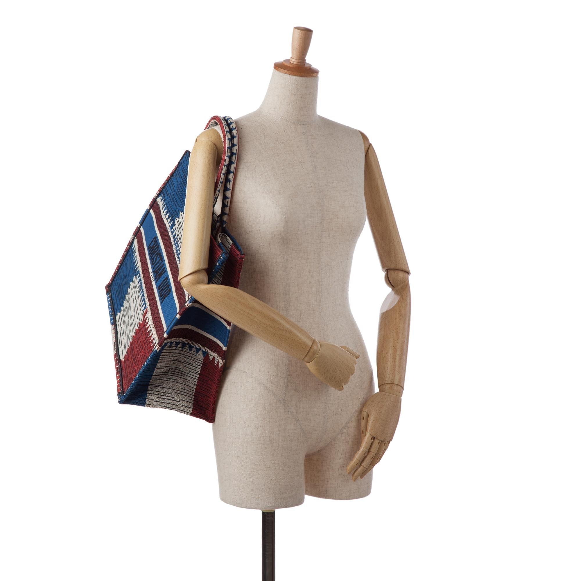 Dior Large French Flag Book Tote