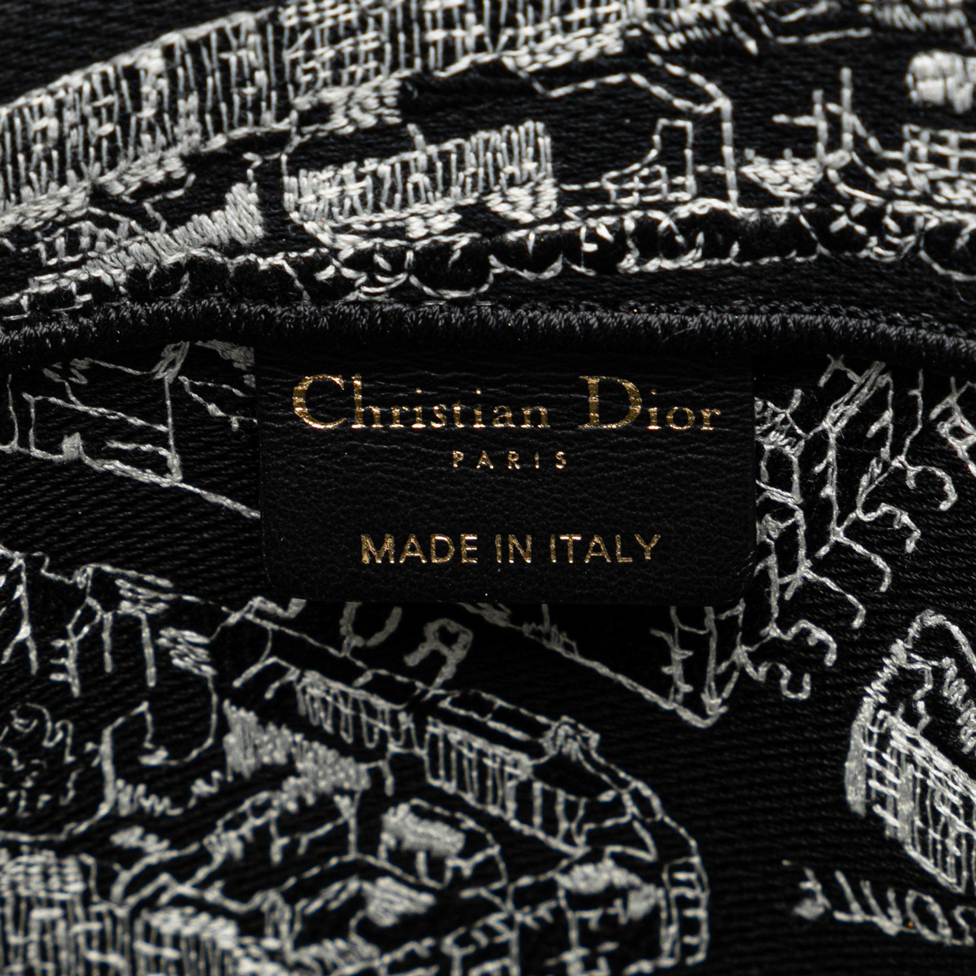 Dior Large Plan De Paris Book Tote (SHG-3MPguC)