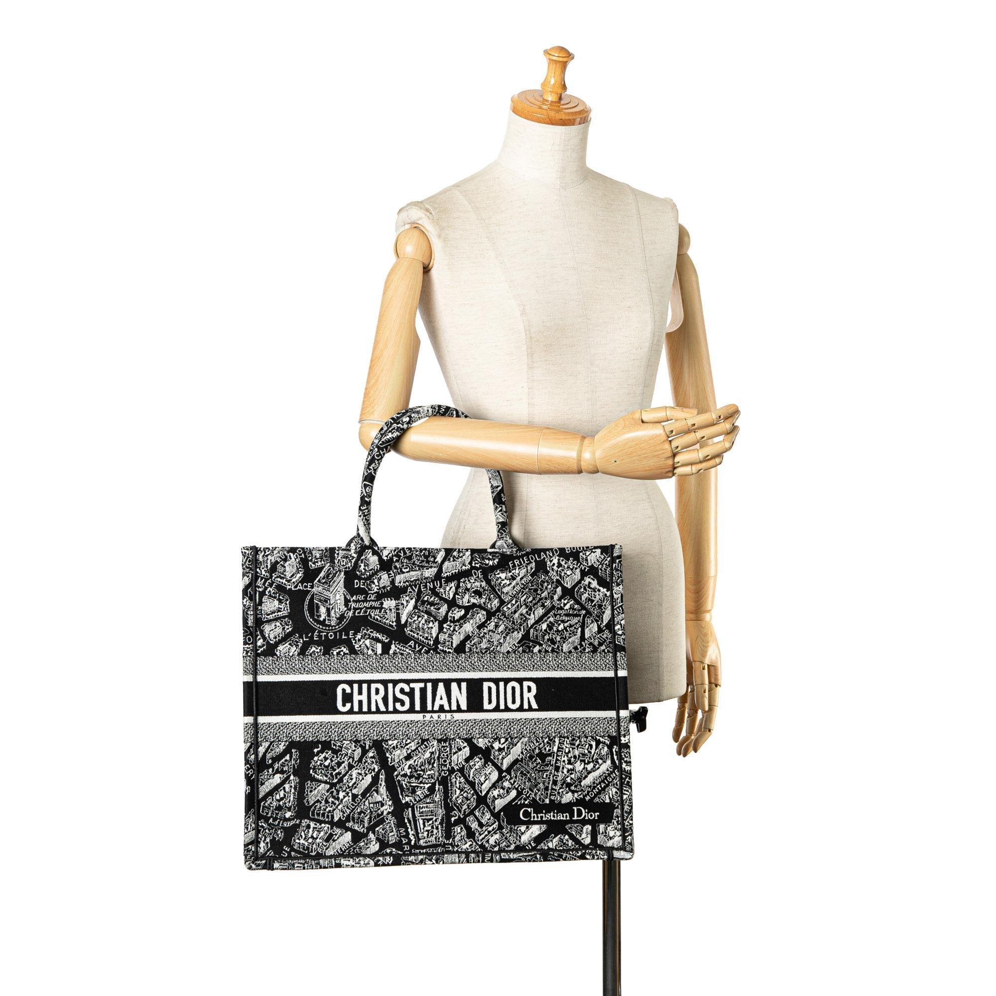 Dior Large Plan De Paris Book Tote (SHG-3MPguC)