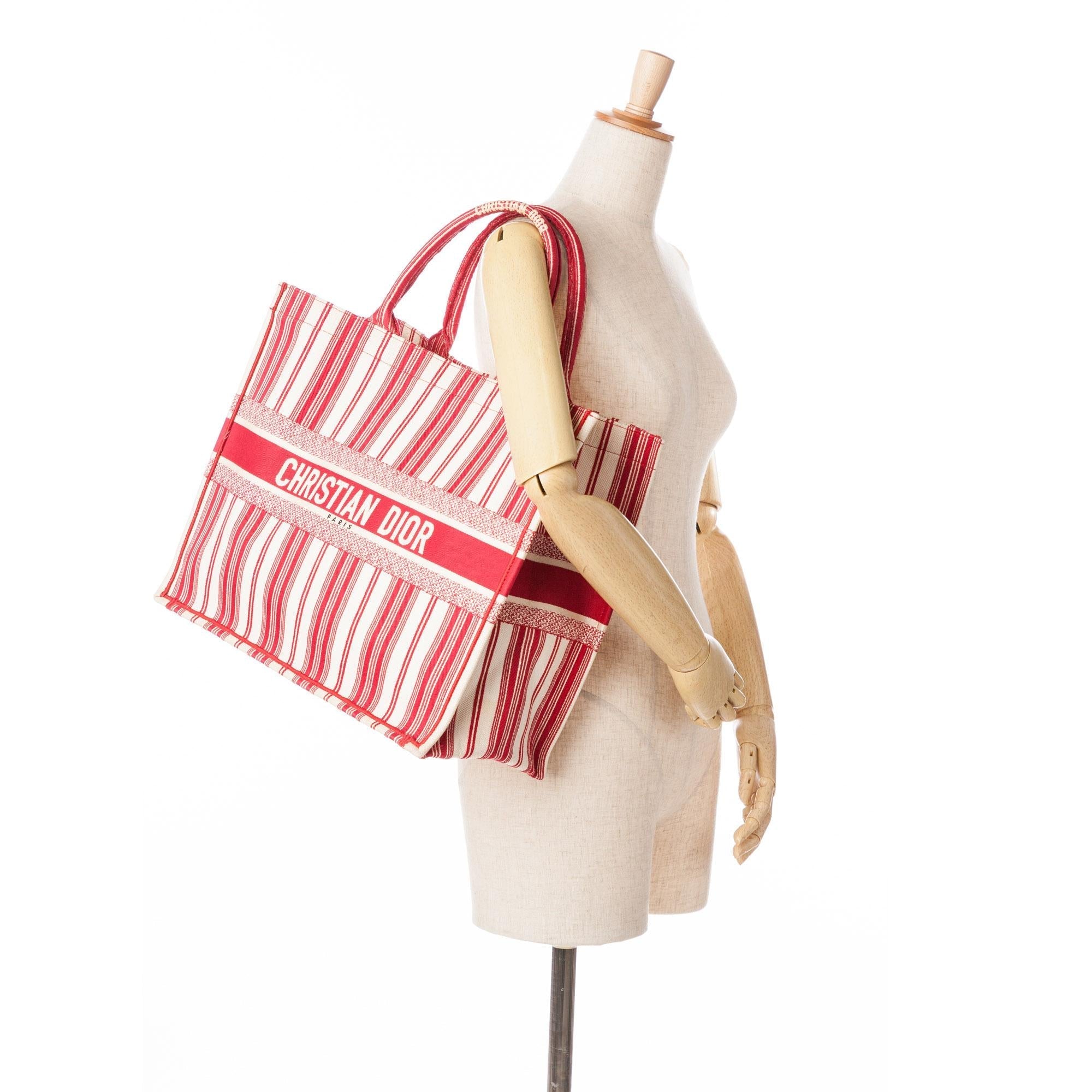 Dior Large Striped Book Tote