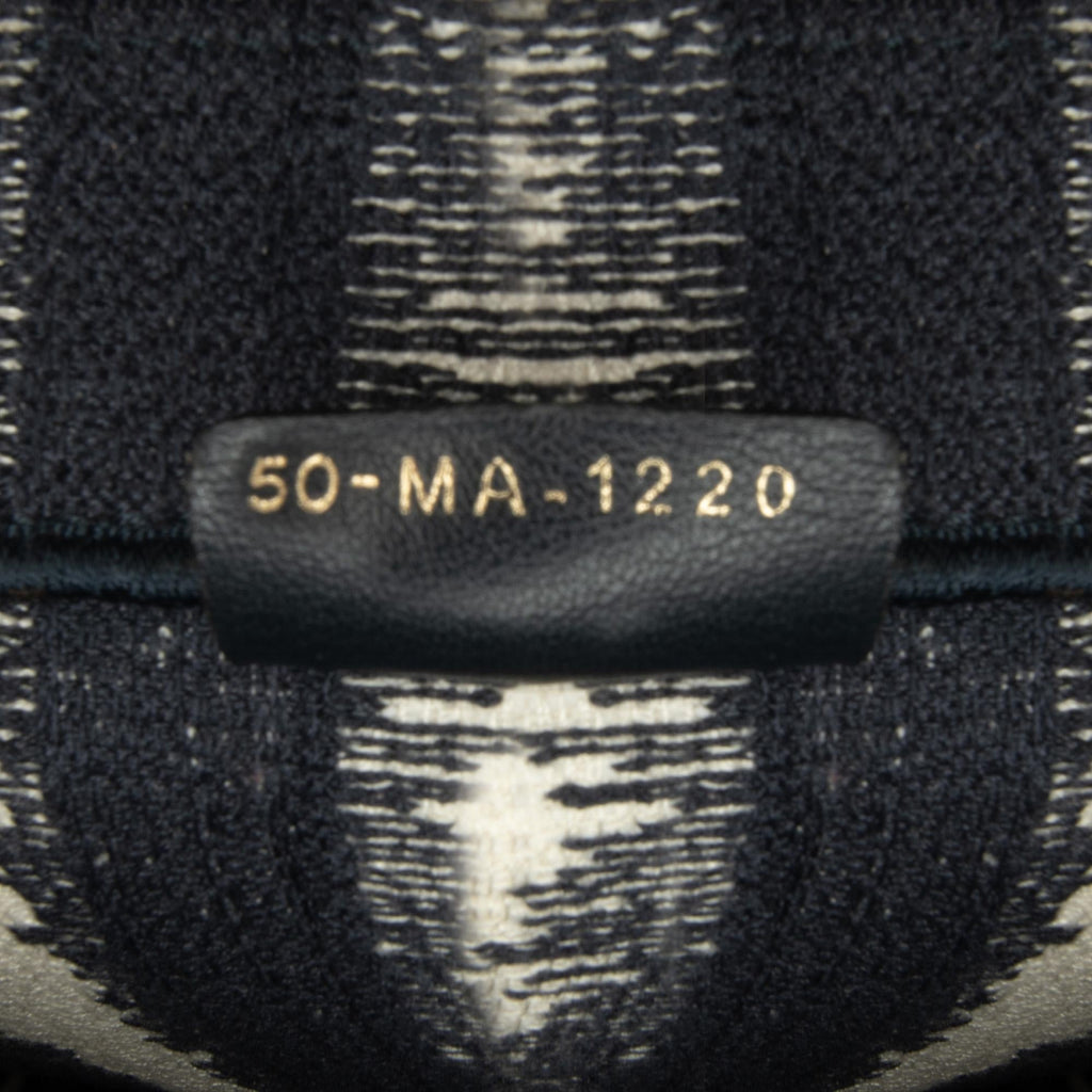 Dior Large Striped Book Tote