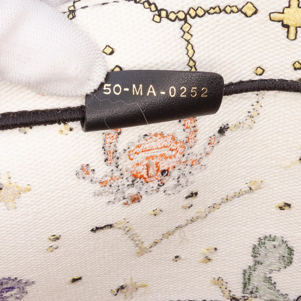 Dior Large Zodiac Pixel Zodiac Book Tote