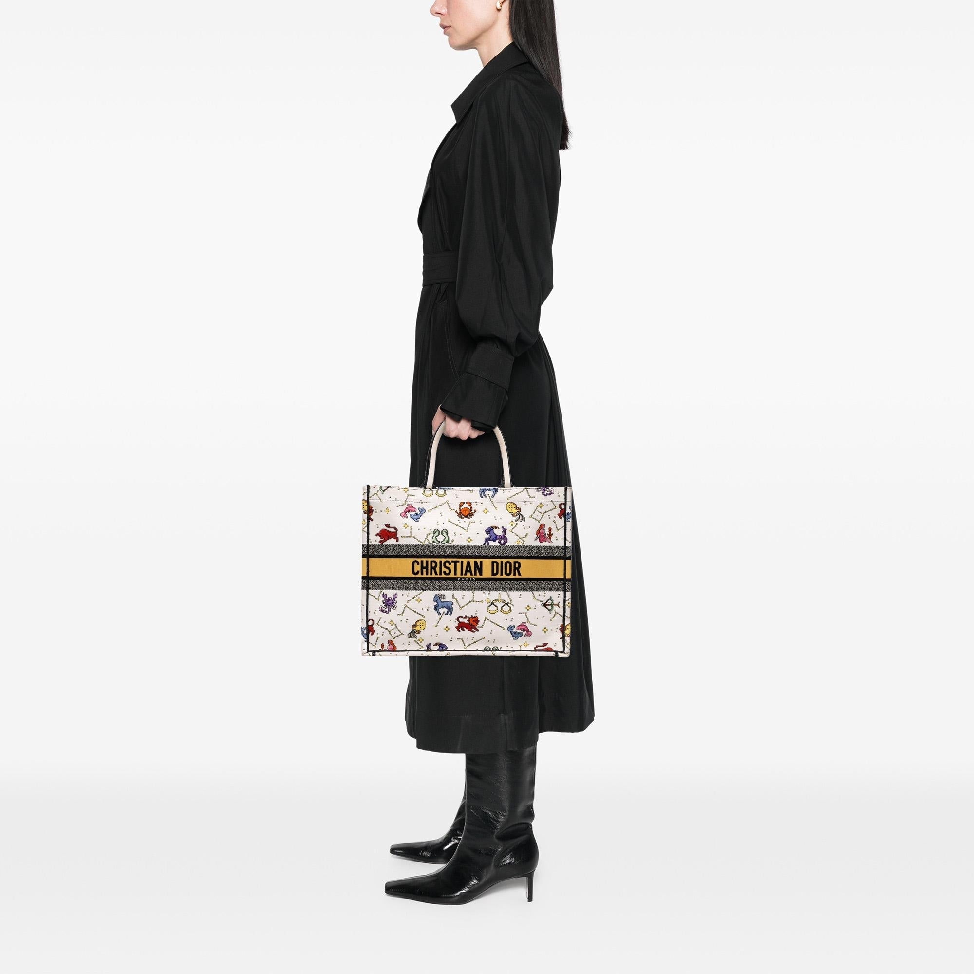 Dior Large Zodiac Pixel Zodiac Book Tote