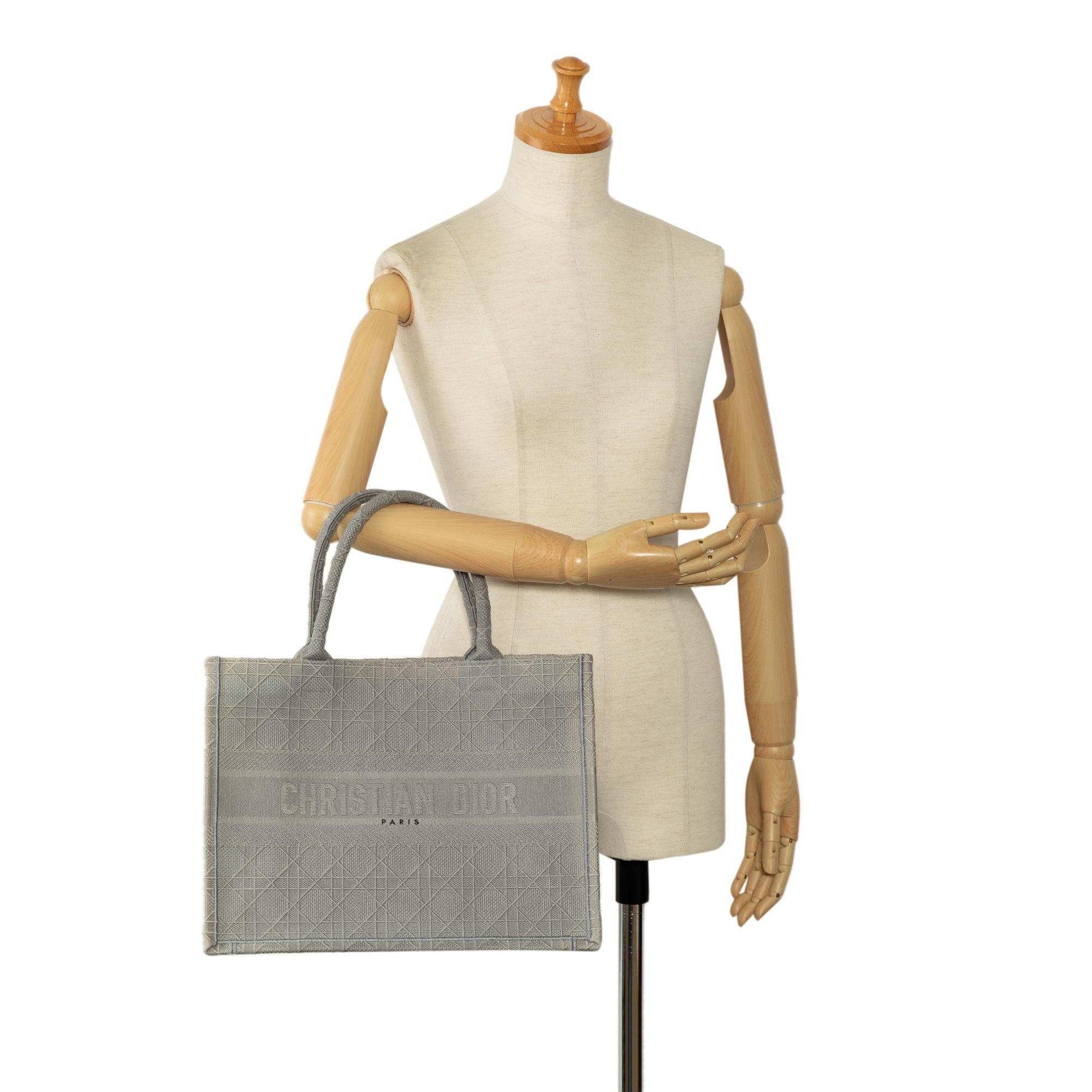 Dior Medium Cannage Embroidered Book Tote (SHG-dwrZnB)
