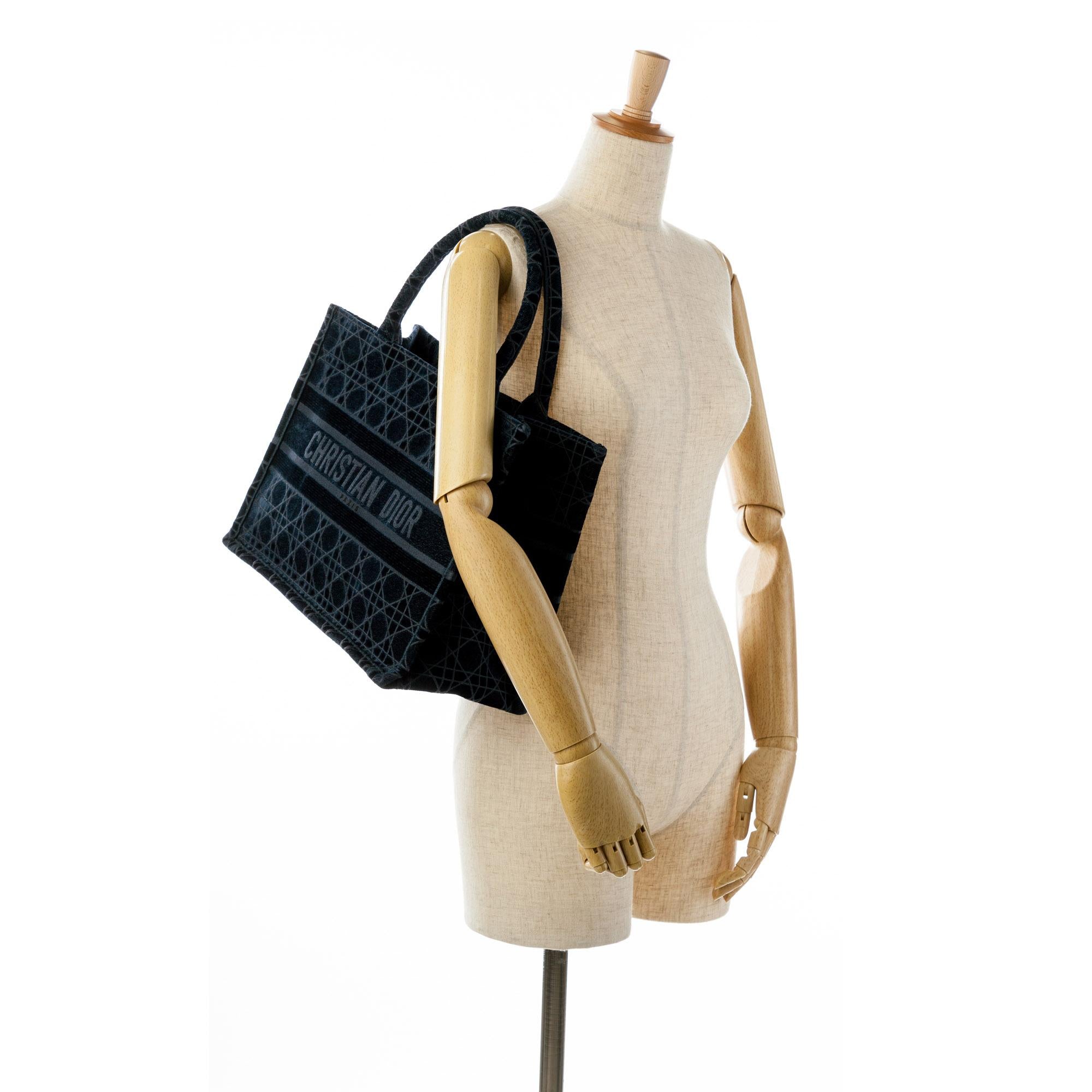 Dior Medium Cannage Embroidered Book Tote (SHG-fvzewU)