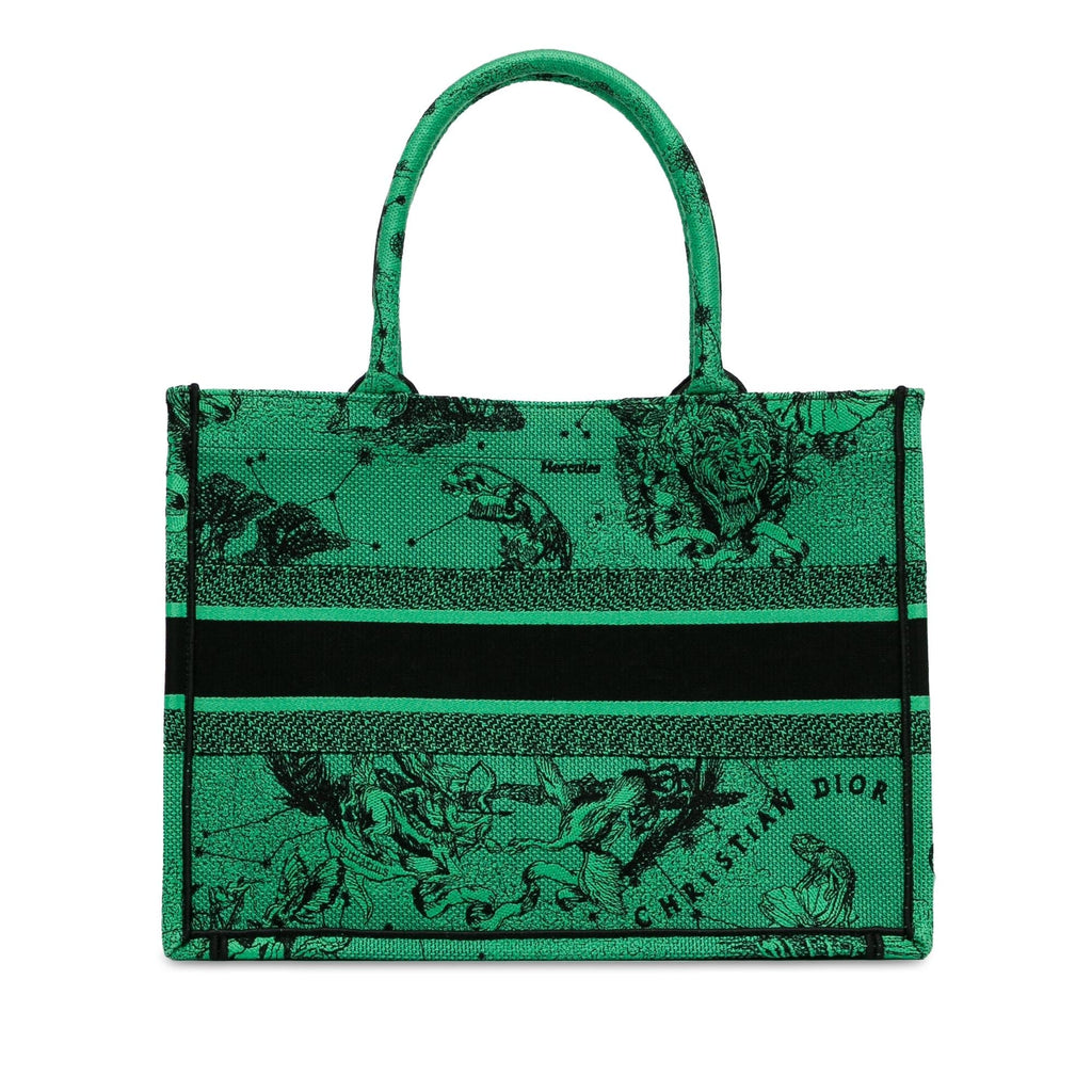Dior Medium Embroidered Canvas Book Tote (SHG-zoAytt)