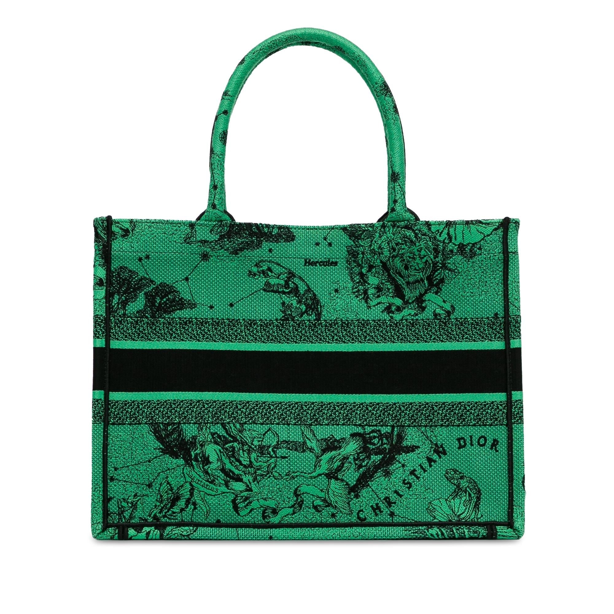 Dior Medium Embroidered Canvas Book Tote