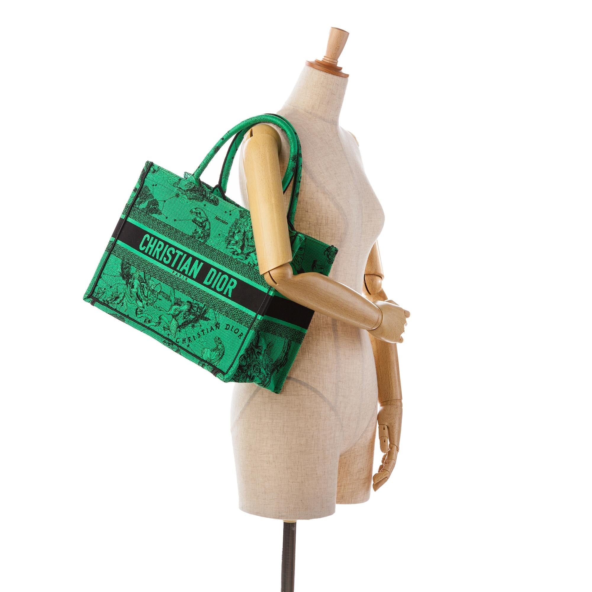 Dior Medium Embroidered Canvas Book Tote