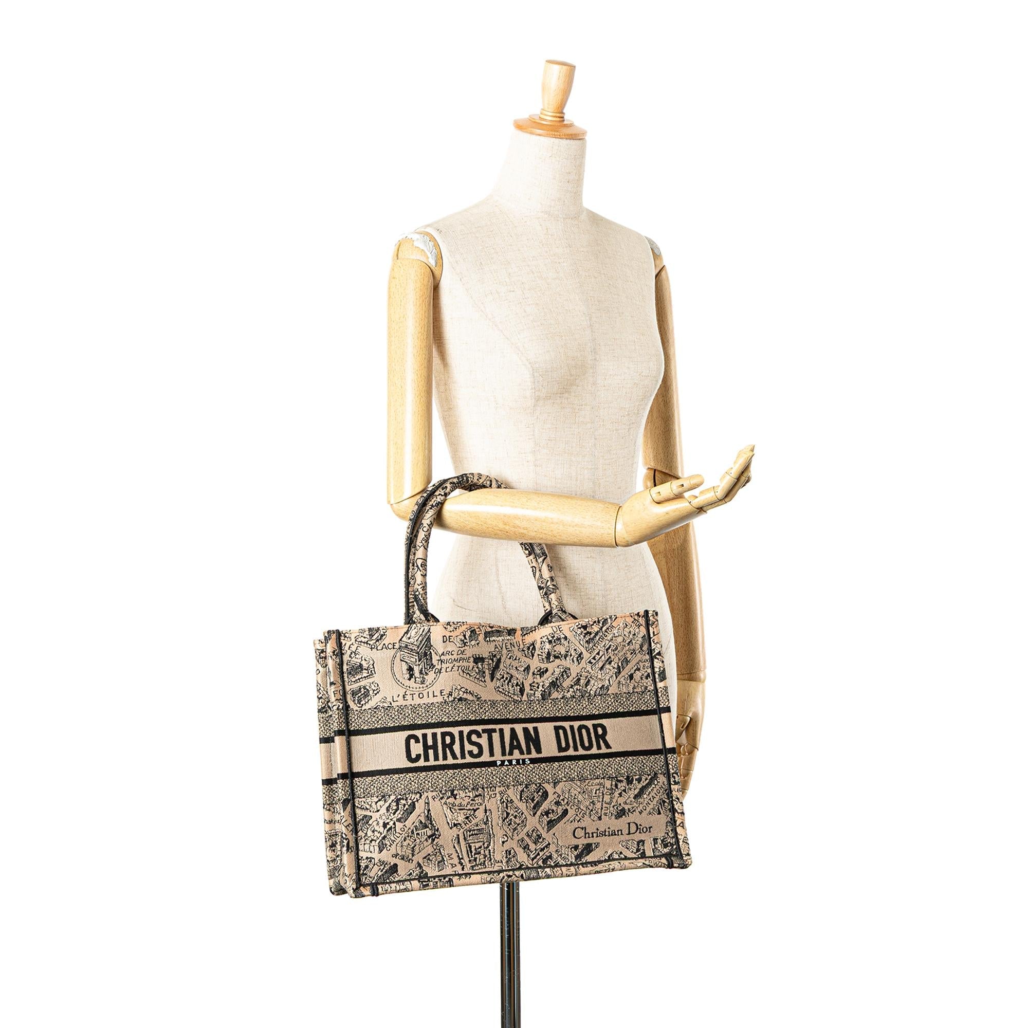 Dior Medium Embroidered Canvas Plan de Paris Book Tote