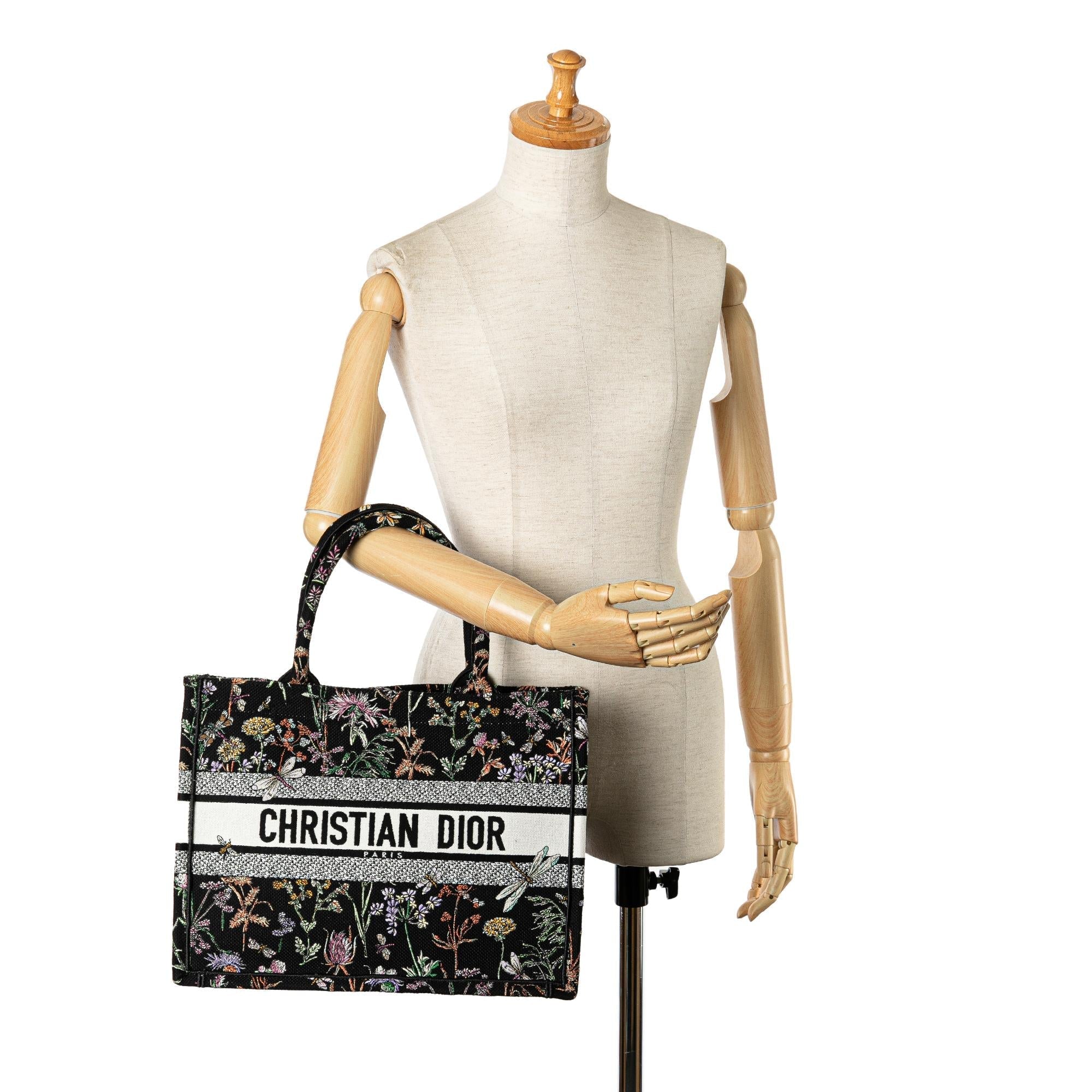Dior Medium Embroidered Herbarium Book Tote (SHG-kasyJl)