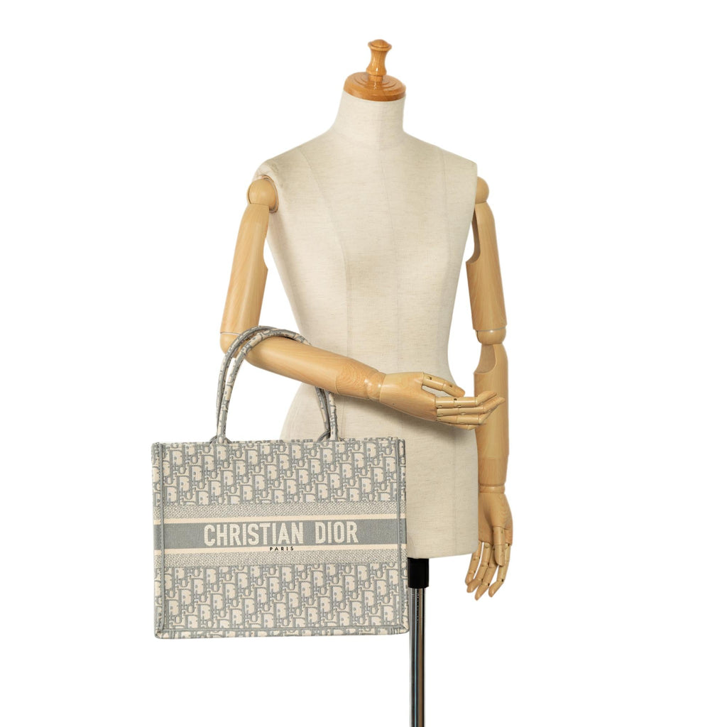 Dior Medium Oblique Book Tote (SHG-TP5t66)
