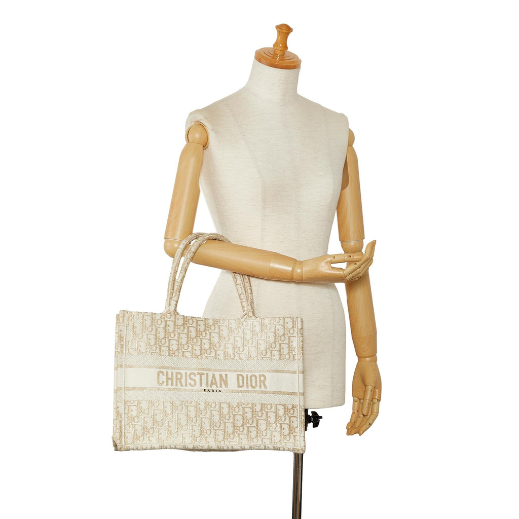 Dior Medium Oblique Book Tote (SHG-sAeXAW)
