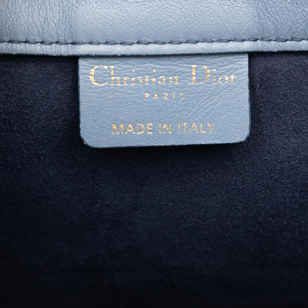 Dior Medium Ombre Embossed Leather Book Tote