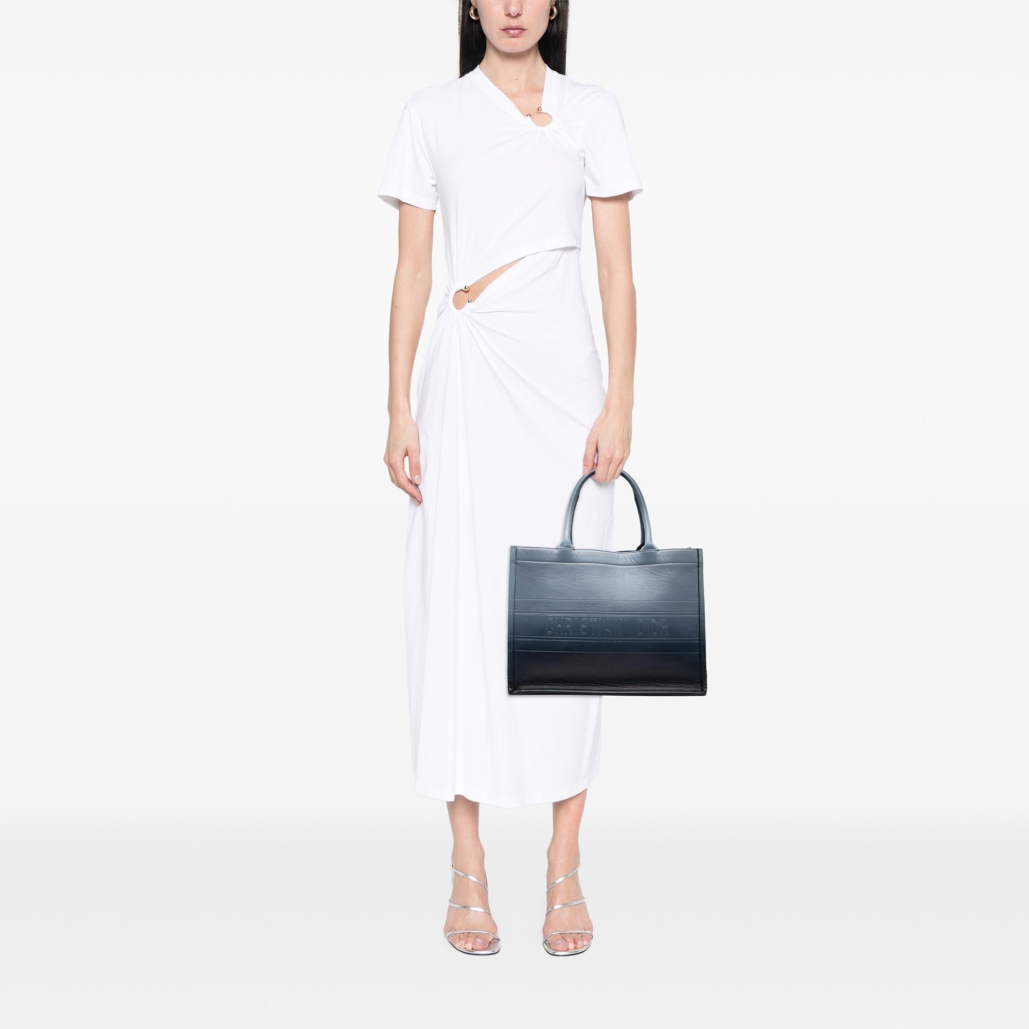 Dior Medium Ombre Embossed Leather Book Tote
