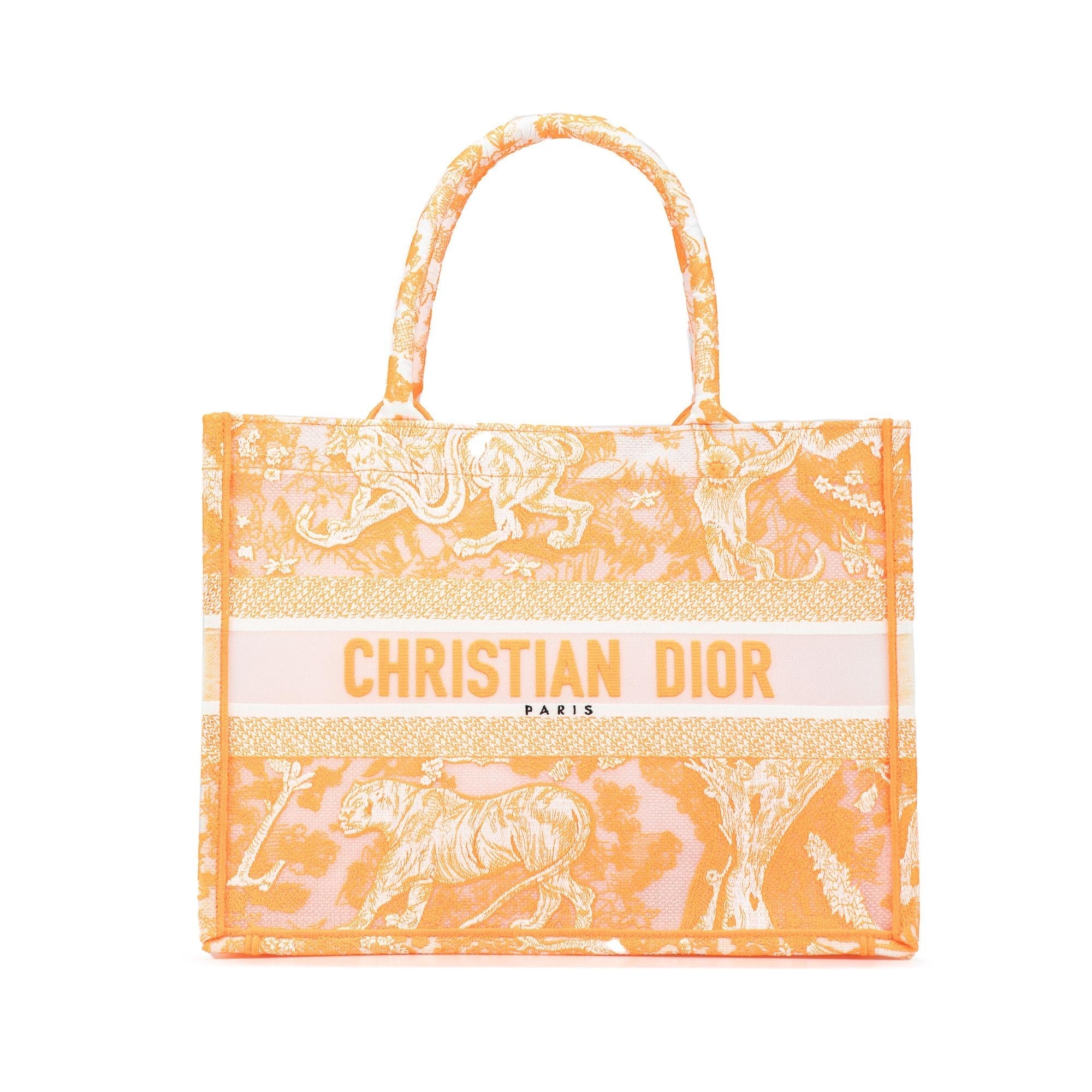Dior Medium Toile de Jouy Book Tote