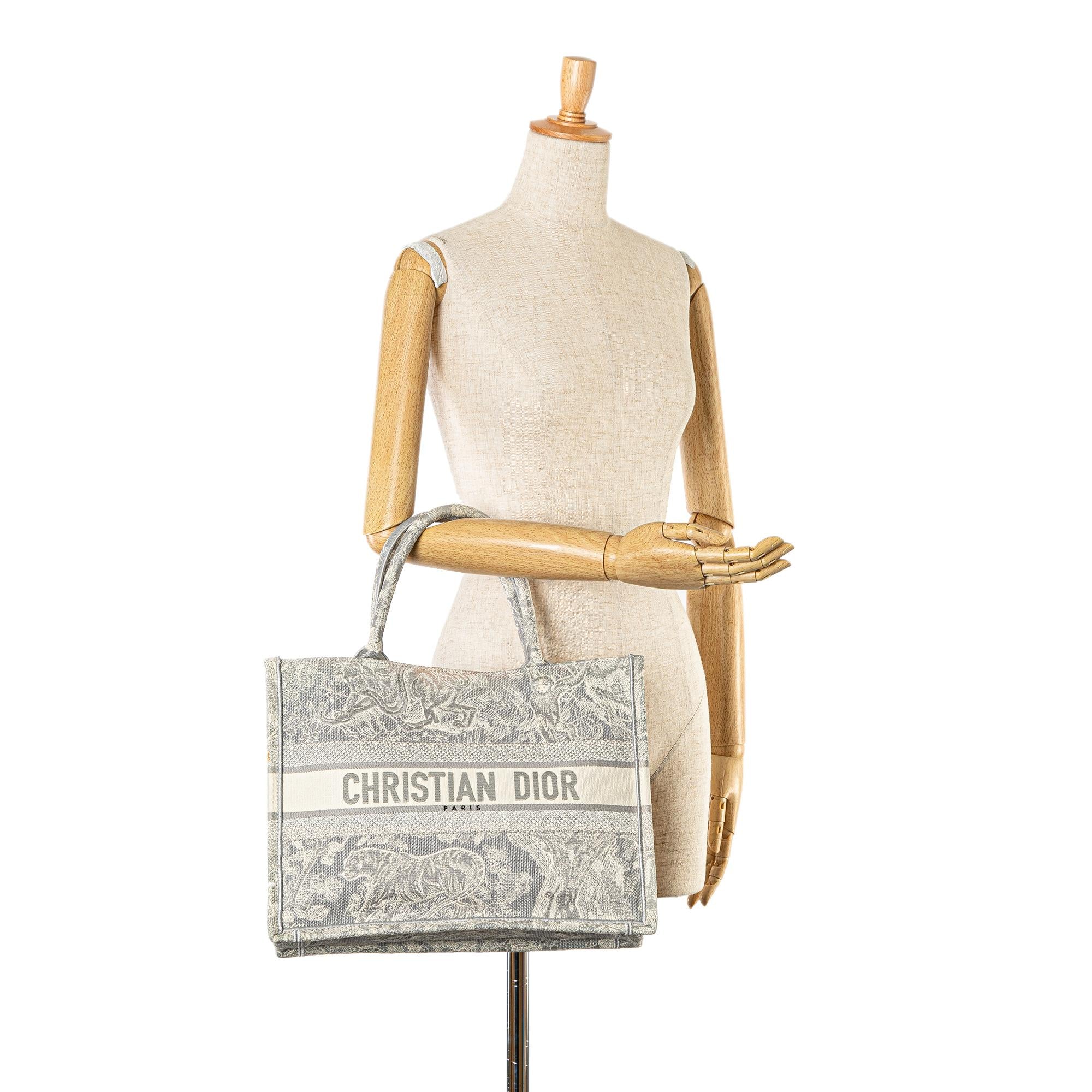 Dior Medium Toile de Jouy Reverse Embroidered Book Tote