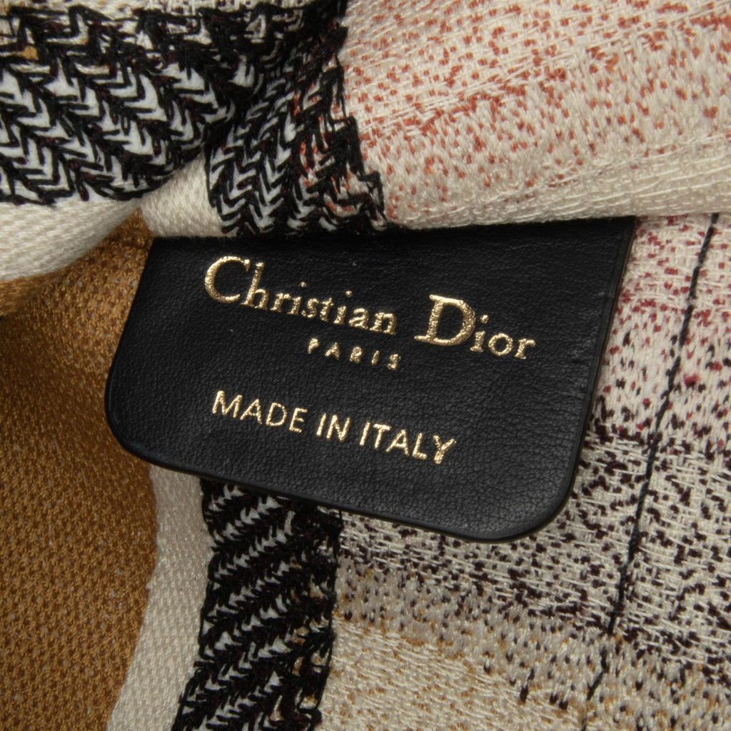 Dior Mini D Stripes Book Tote