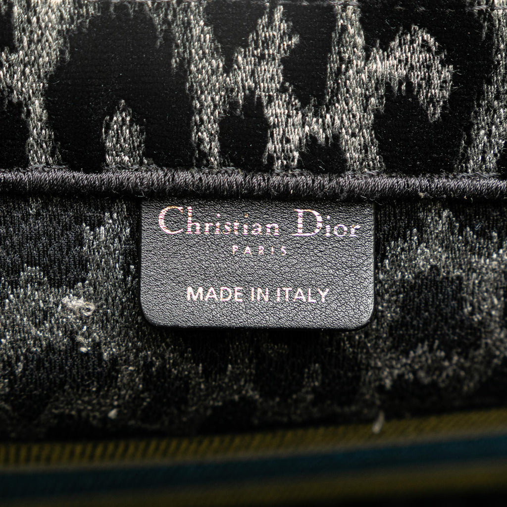 Dior Mizza Medium Embroidered Canvas Leopard Book Tote