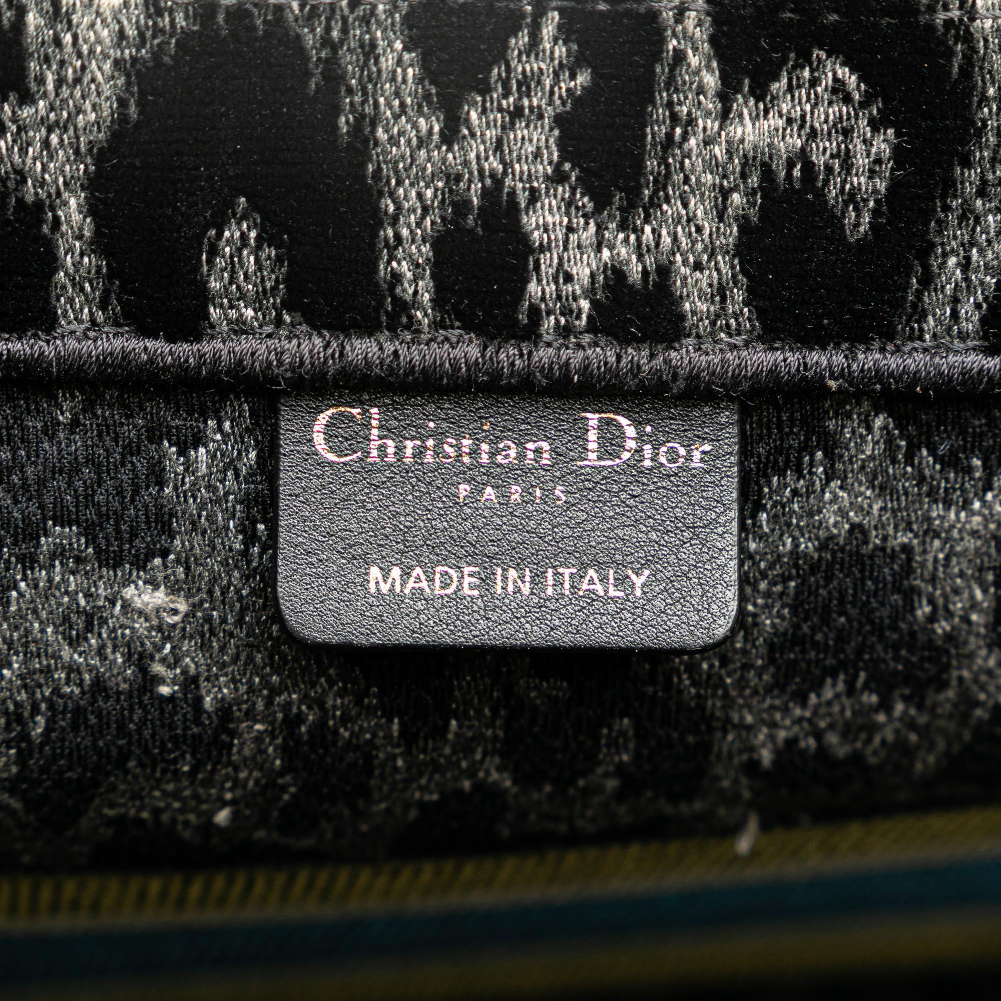 Dior Mizza Medium Embroidered Canvas Leopard Book Tote
