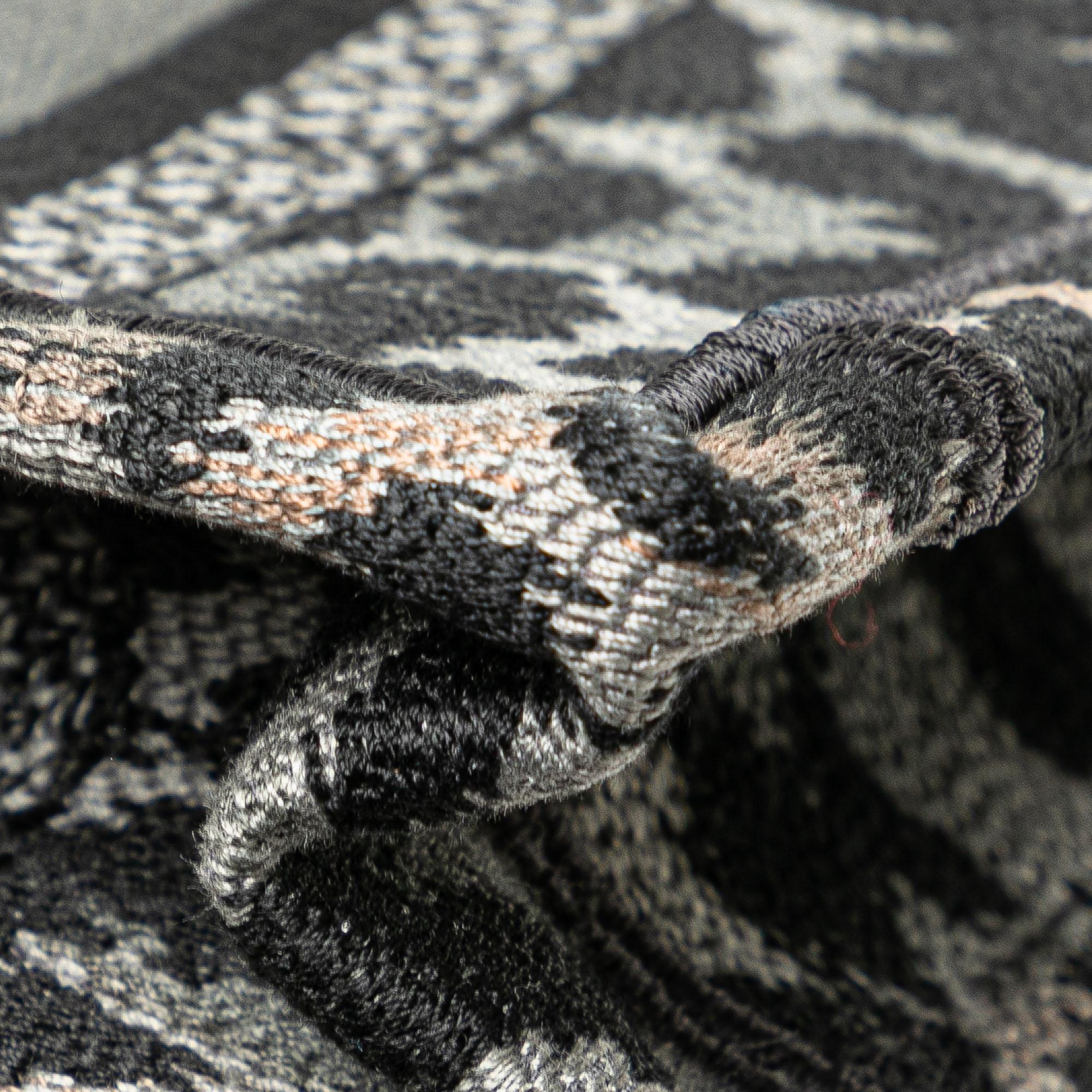 Dior Mizza Mini Embroidered Canvas Leopard Book Tote
